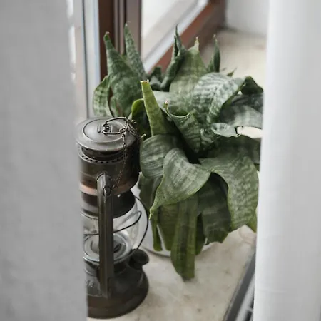 Appartement Flats